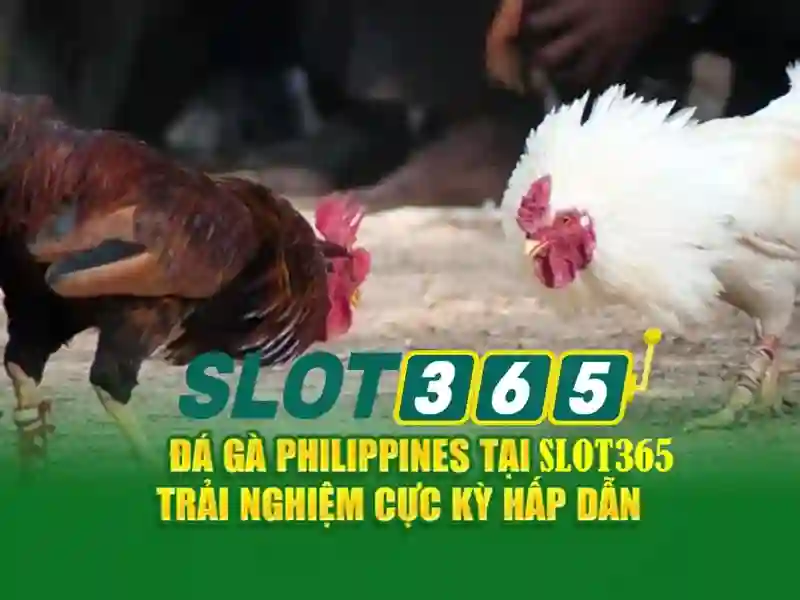 baccarat slot365