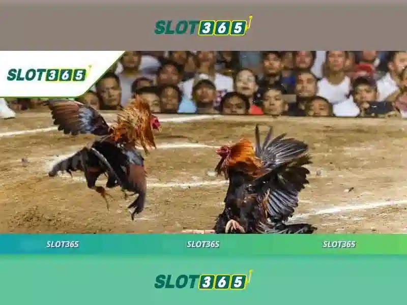 An toàn và hợp pháp