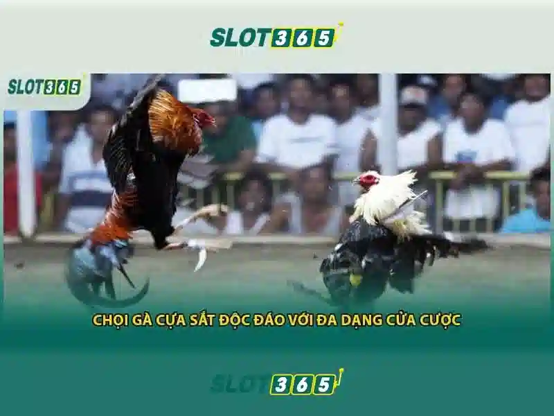 Trải nghiệm slot nhiều thể loại