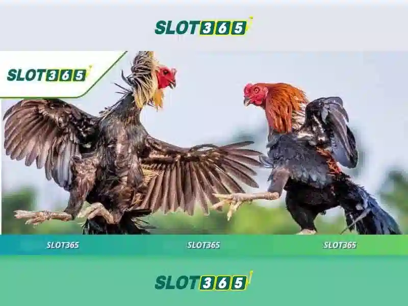 An toàn và bảo mật