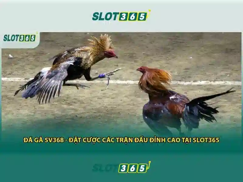 Ưu đãi và thanh toán