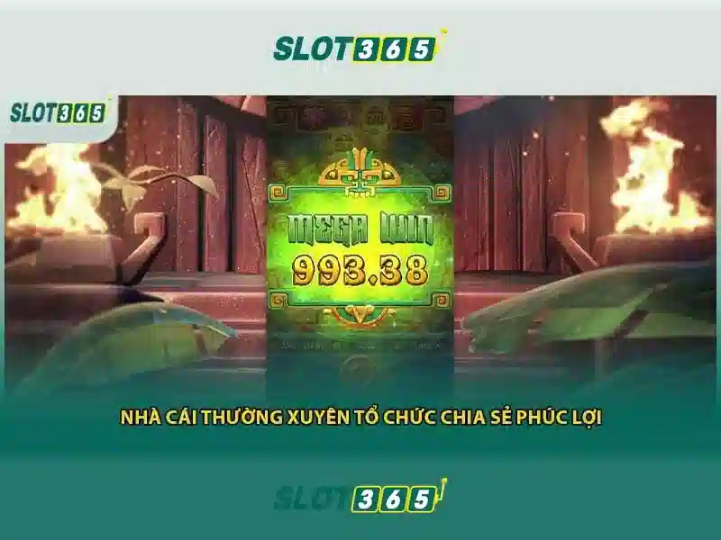 Khuyến mãi và chương trình thưởng