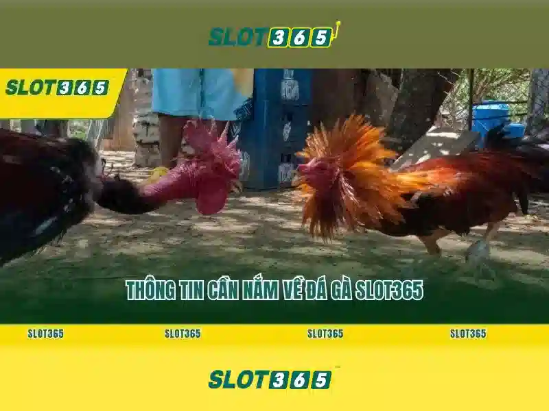 Giao dien slot365 tren may tinh