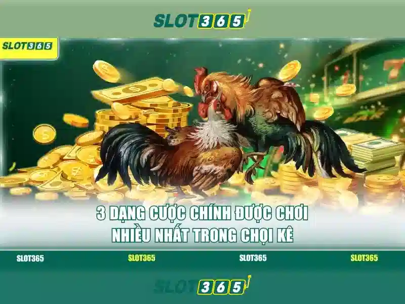 Slot365: Nền tảng máy xèng trực tuyến uy tín