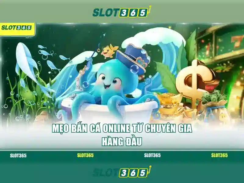 Kết nối và hỗ trợ khách hàng