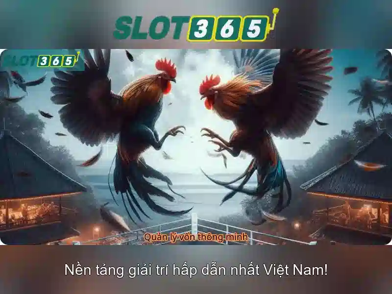Khuyến mãi và cách nhận thưởng trên Slot365