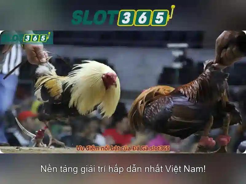 baccarat slot365