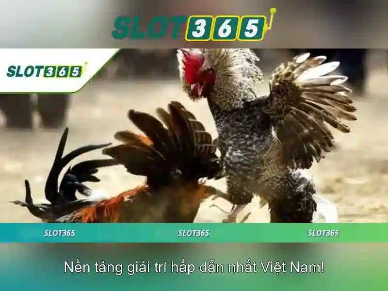 baccarat slot365