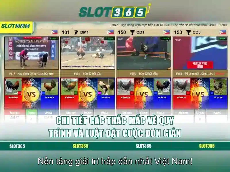 Tại sao chọn Slot365?