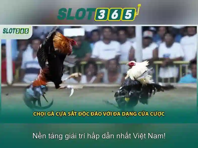 Giới thiệu về Slot365