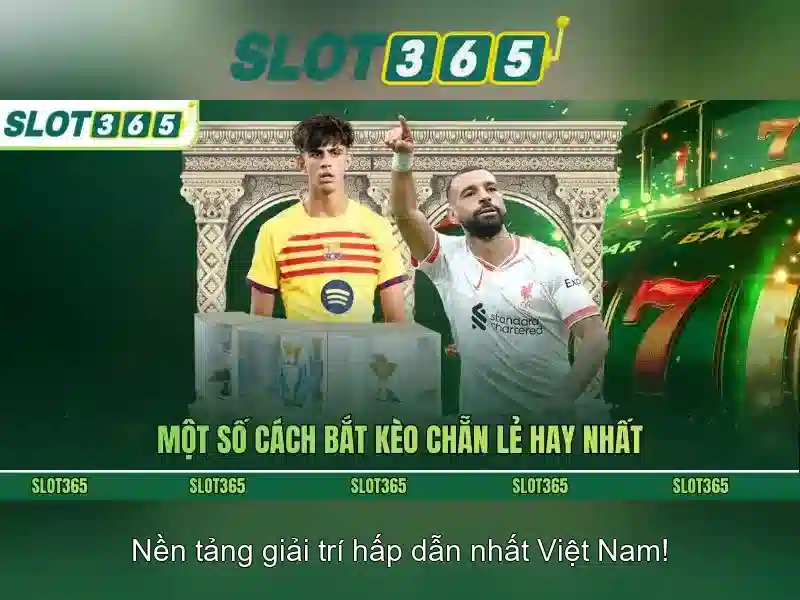 Giao diện người dùng và hiệu suất