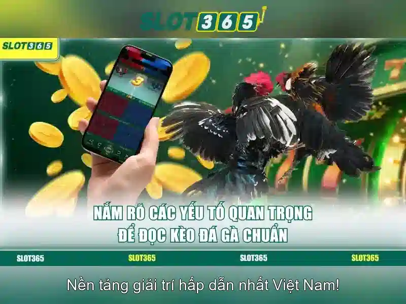 Khuyến mãi và chương trình thưởng tại Slot365